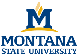 Montana University